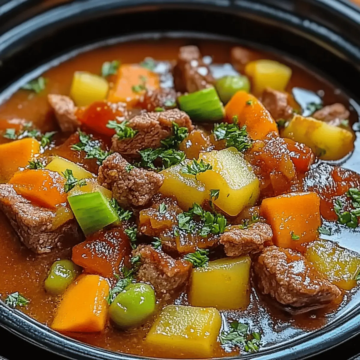 Vegetable Beef Soup