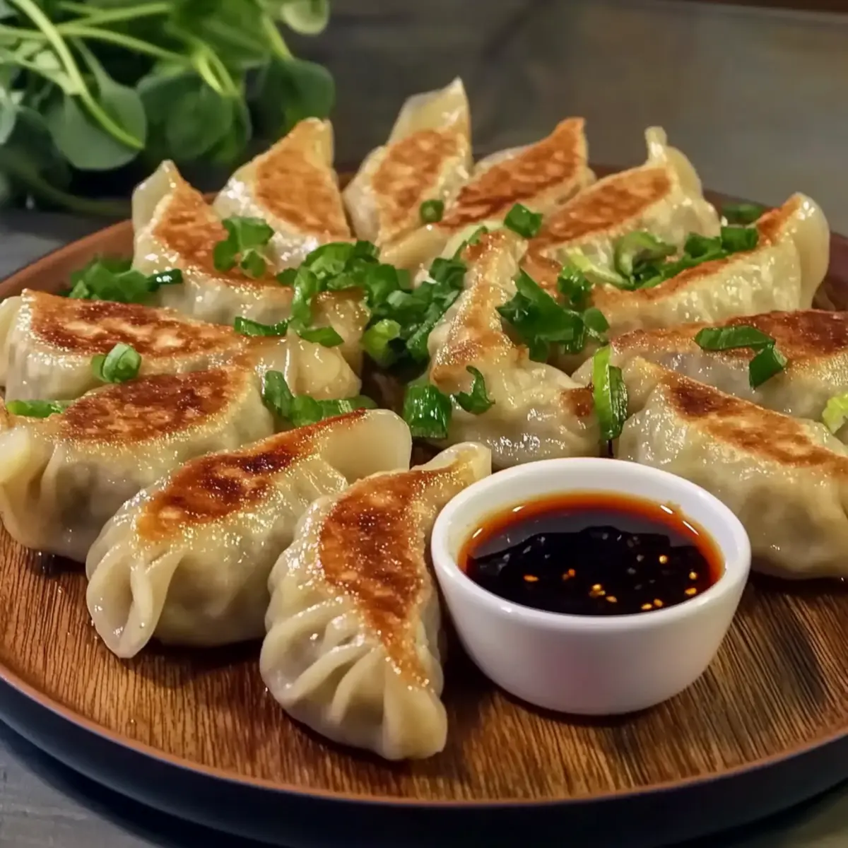 Pan-Fried Chicken Dumplings